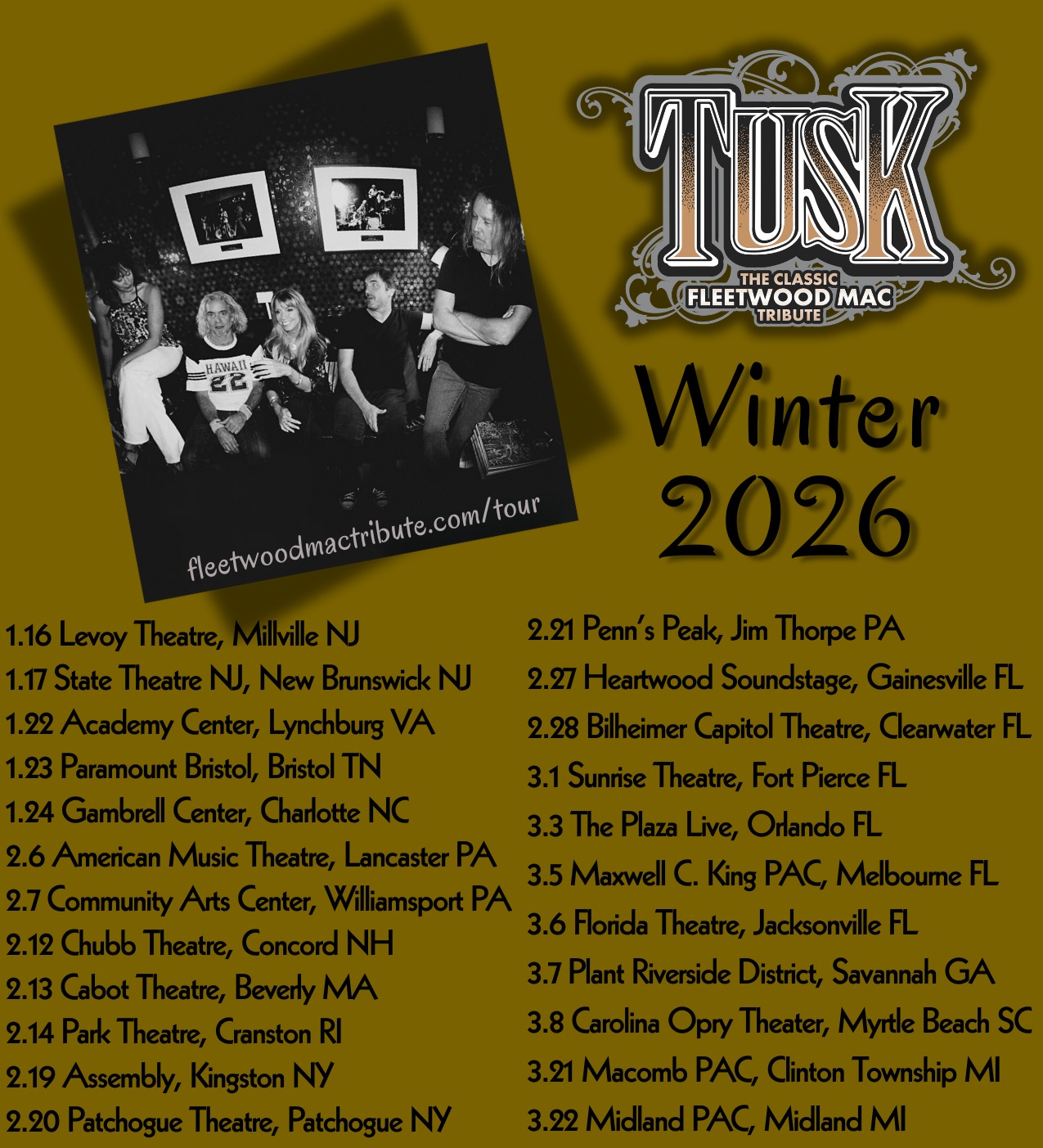 Fleetwood Mac Tribute Tour Poster 2026